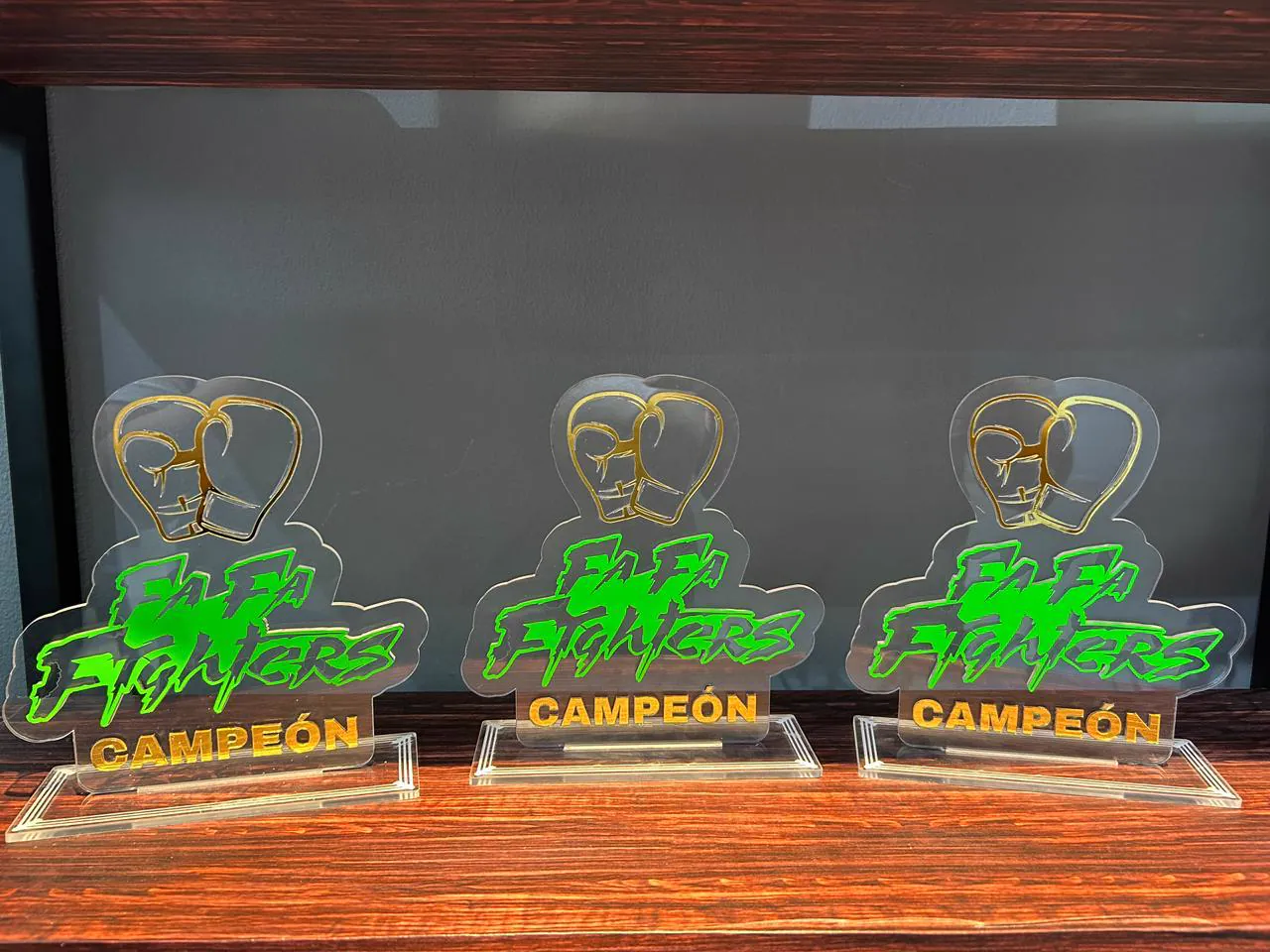 Fighters Campeón — Trofeos acrílico láser